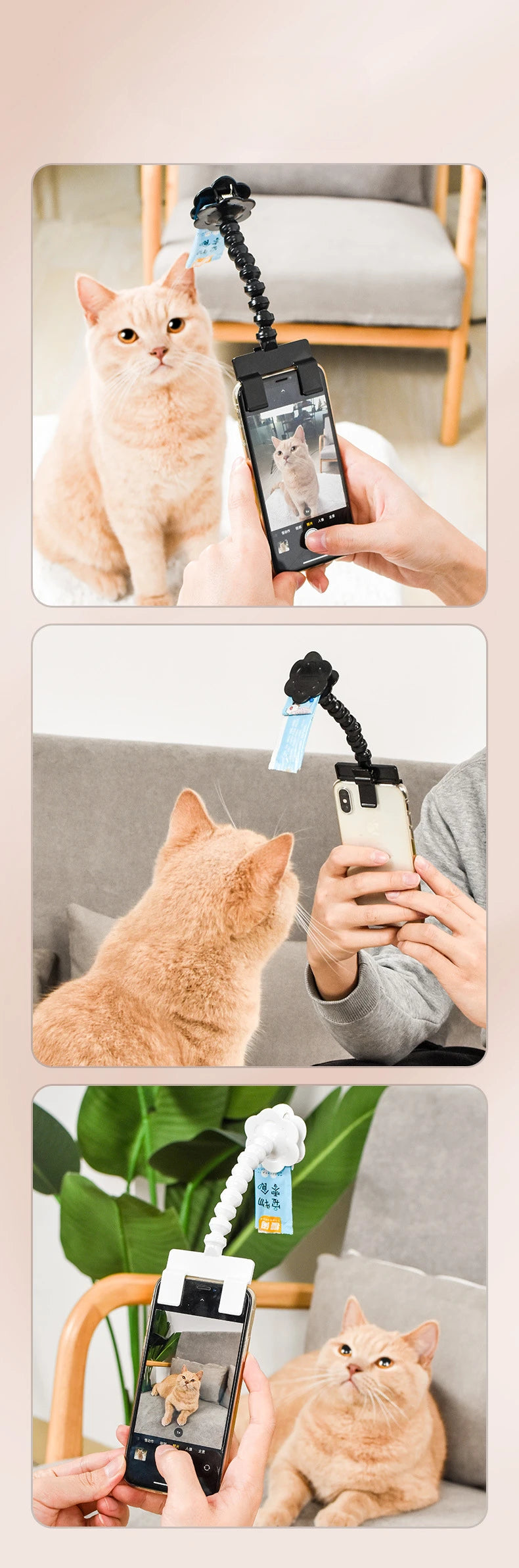 Pet Photo Artifacts Cats Dogs Look At The Lens Toy Cell Phone Camera Bracket Selfie Clip Supplies Puppy Pet Products Pet Toys